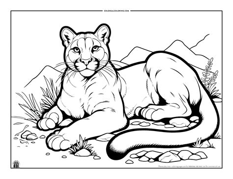 Coloring Pages For Dinosaurs