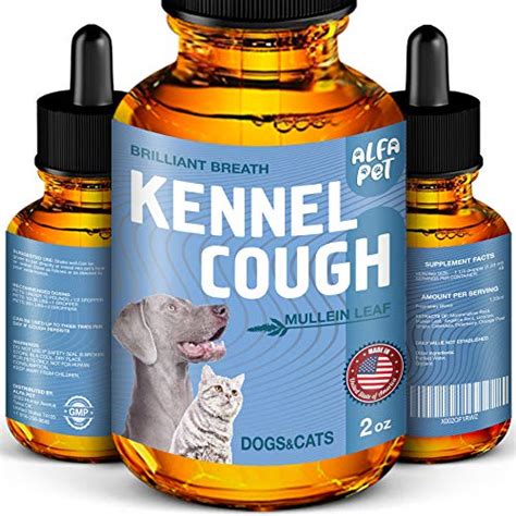 Cough Syrup For Dogs With Kennel Cough - Justagric