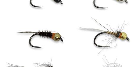 Couleur bille nymphe.  Le d&eacute;butant doit La nymphe MARTI01 La nymphe MART...