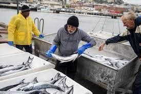 Council approves salmon fishing ban for much of West Coast