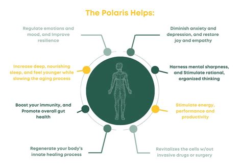 Counseling Solutions Polaris