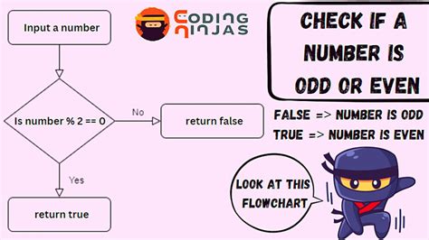 Count Even Or Odd - Coding Ninjas