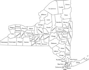 Counties in New York - Ballotpedia