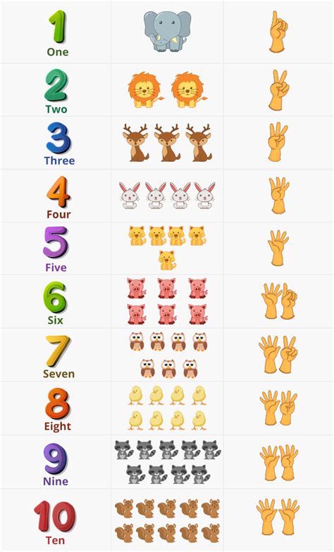 Counting Numbers Definition Counting Chart Examples Counting in