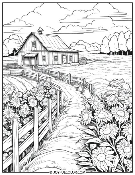 Coloring Book Frame