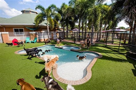 Country inn pet resort. Country Inn Pet Resort offers boarding for your dog with comfortable Kuranda beds with orthopedic foam toppers, in-floor radiant heating, and several large play yards where your dog … 