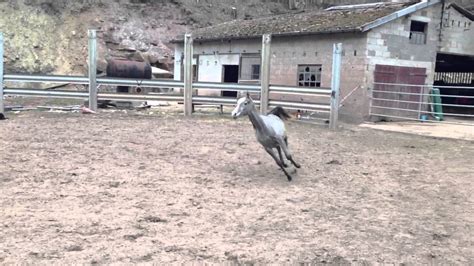 Country ranch du Stossberg - YouTube