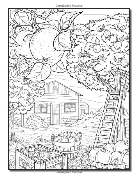 Download Country Fair Coloring Book An Adult Coloring Book Featuring Beautiful And Relaxing Country Fair Scenes And Fun Carnival Rides And Stands By Coloring Cafe Cafe