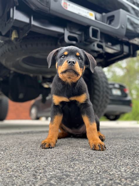 Country_Peach67 Onlyfans Leaked [PPV] 🔥