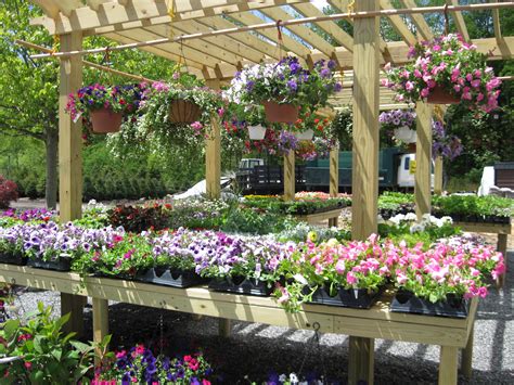 Countryside nursery. Things To Know About Countryside nursery. 