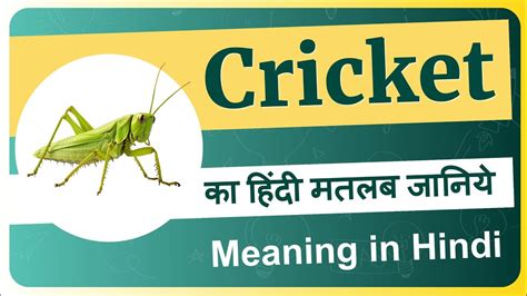 County cricket meaning in hindi.  Cricket is known for its rich termin...
