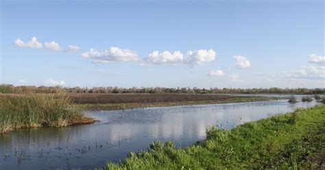 County probate court website.  Rusu, Jr.  Probate Notes: In San Joaquin County, t...