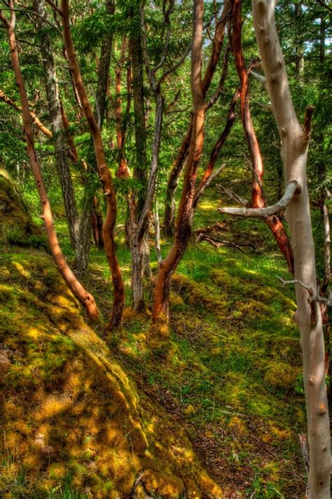 Couple donates forest land in Highlands to Habitat Acquisition Trust