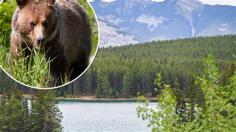 Couple killed by bear in Banff National Park experienced in outdoors: family friend