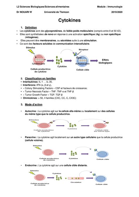 Cours Immunologie Niveau L2 Cours Complet By Revistoo Revistoo