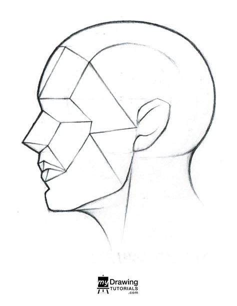 Course Assets Portrait Fundamentals Made Simple My Drawing Tutorials