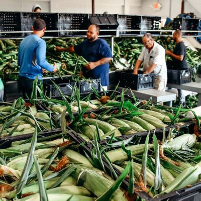 Course Catalogue CALS