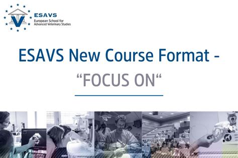 Course Program Esavs
