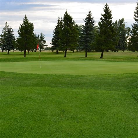 Course Sedgewick Golf Course Golf Course in East Central Alberta
