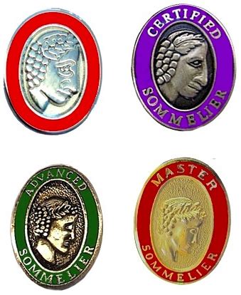 Court Of Master Sommelier Pins