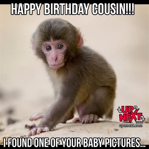 Cousin happy birthday funny. Things To Know About Cousin happy birthday funny. 