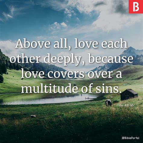 Covers a multitude of situations