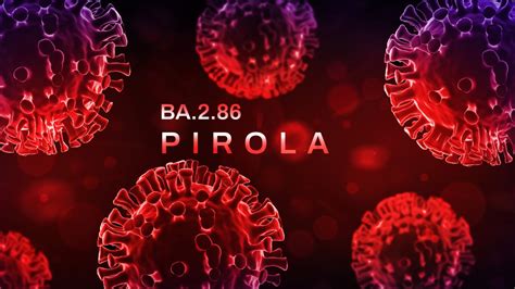 The UK has seen a rise in Covid cases in the past few months, and experts believe new strain Pirola BA.2.86 is to blame. The strain - a variant from Omicron BA.2 - was first detected in Denmark in ...