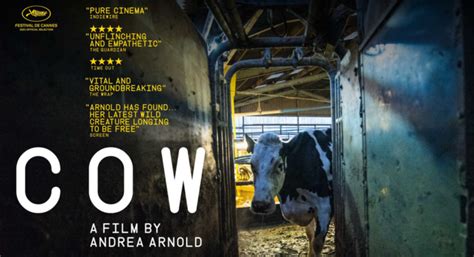 Cow movie review & film summary (2024) Roger Ebert