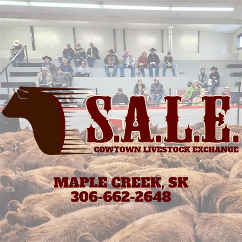 Cowtown Livestock Exchange Inc. Maple Creek SK - Facebook