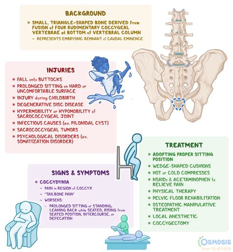 Coxis Pain Manual Guide