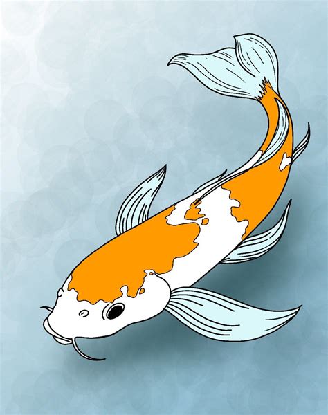 Coy Fish Drawing Easy