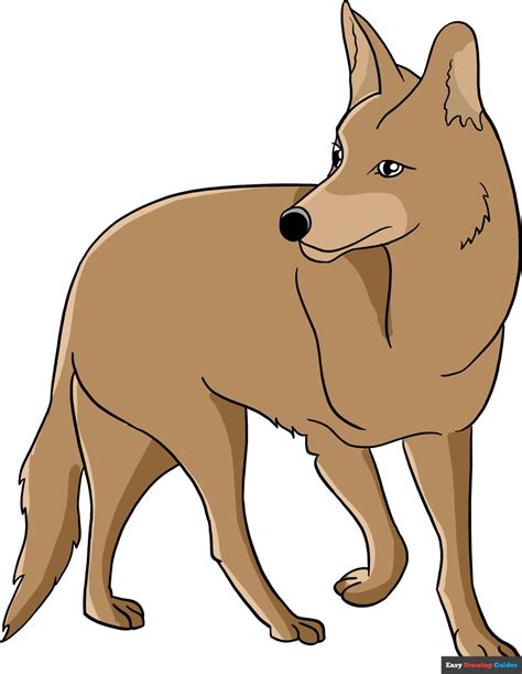 Coyote Cartoon Drawing