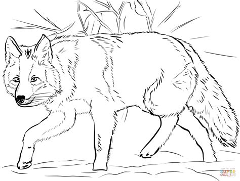 Coloring Pages The Sun