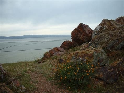 Coyote Hills Regional Park, Fremont: See 222 reviews, articles, and 173 photos of Coyote Hills Regional Park, ranked No.1 on Tripadvisor among 33 attractions in Fremont..