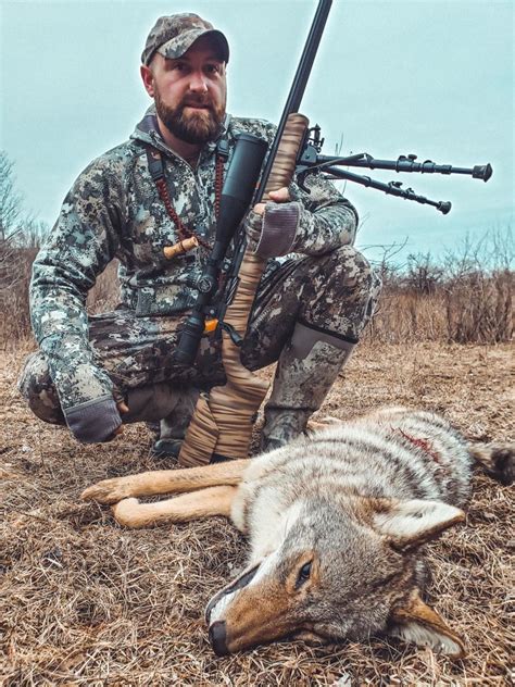 Coyote hunting. Things To Know About Coyote hunting. 