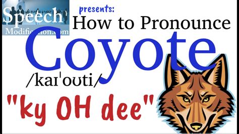 Coyote pronunciation. Using The Wrong Pronunciation. Another common mistake is using the wrong pronunciation of the word. “Coyote” is pronounced kai-oht, while “cayot” is not a word and therefore has no pronunciation. To avoid this mistake, it’s important to listen to the correct pronunciation of the word and practice saying it yourself. 