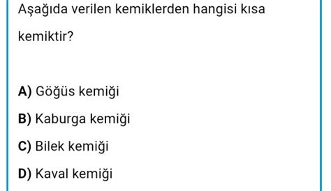 Cozmeler Halı ve Koltuk Yıkama