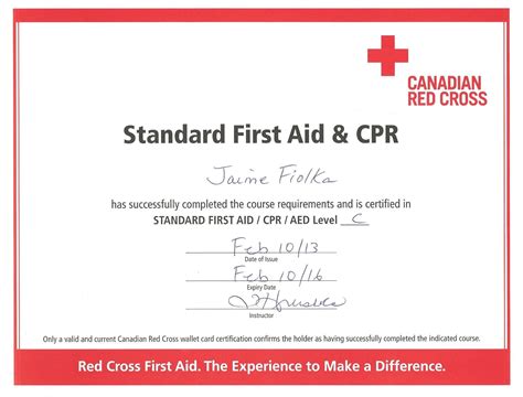 Cpr Card Template