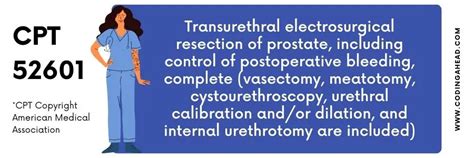 This revision is due to the 2024 Annual/Q1 CPT/HCPCS Code Update and is retroactive effective for dates of service on or after 1/1/24. 01/29/2023. R2. The related Transurethral Waterjet Ablation of the Prostate L38549 LCD is being presented for notice. No changes related to billing and coding were made to this article. 04/01/2021.. 