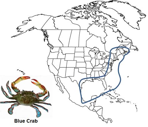 Crab Location & Where to Get Genshin Impact