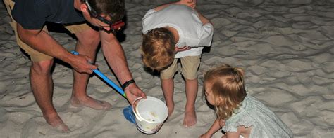 Crabbing on the beach at night - Gulf Shores Forum