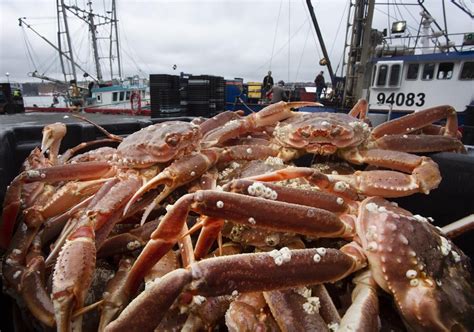 Crabby business: N.L. fisheries worker charged with accepting ‘pans of crab’ as bribe