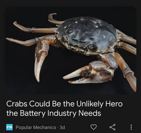 Crabs Could Be the Unlikely Hero the Battery Industry Needs