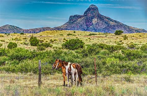 craigslist Real Estate in Southwest TX. see also. 5.3 Acre Land on Main Road - Utilities At Road - River Frontage. $25,000. Presidio County !!Nice Lot 20 Acres For Sale. $25,000. Great Views 20 Acres near Van Horn - $184/mo. $14,875. ... 20 Acres Presidio Texas Ranchland.. 