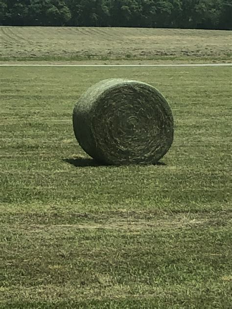 craigslist For Sale "bales hay" in Tyler / East TX. see also. Hay Square Bales. $10. ... Hay Equipment For Sale (Round Baler, Hay Cutter, and Hay Cutter) $11,000. Bryan. 