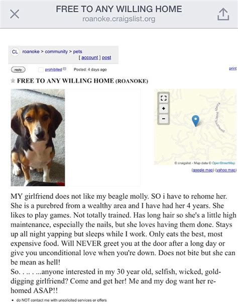 Craigslist dog rehoming. Things To Know About Craigslist dog rehoming. 