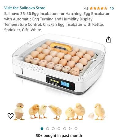 Brand new in box incubator. Automatic temperature control and turning. Humidity indicator and candling light built in. Pickup in Greenwood Lake. If the listing is up, that means it's still available. Due to very high interest, please include the date/time that you would be able to pick up.