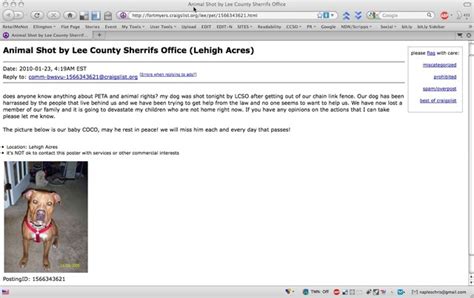 Craigslist lee county pets. Things To Know About Craigslist lee county pets. 