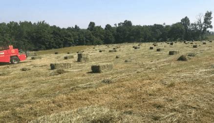 New and used Hay Bales for sale near you on Facebook Marketplace. Find great deals or sell your items for free.. 
