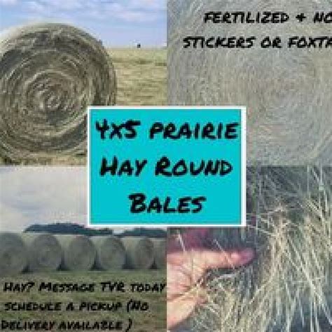 Mar 12, 2024 · model name / number: Hay. size / dimensions: 3x3x8. delivery available. Cow Hay and Horse Hay for Sale! Great Quality! BIG Bales 3x3x8 or Two Strand! Must purchase full semi load for Free Delivery! Call or Text me for Pricing and Details! post id: 7726566843.. 